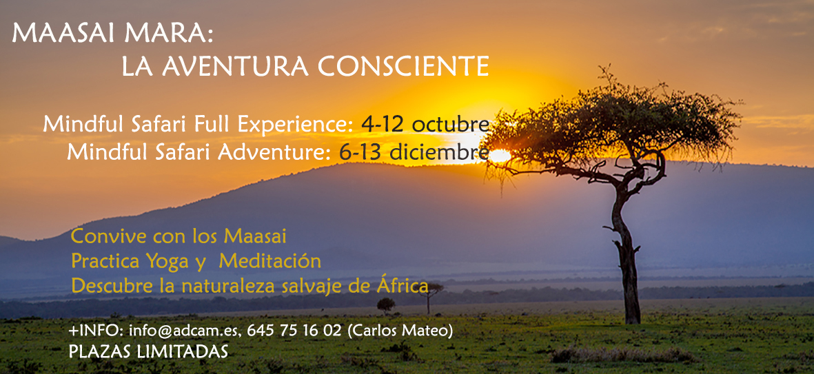 aventura_mindful_safari_kenia_2019