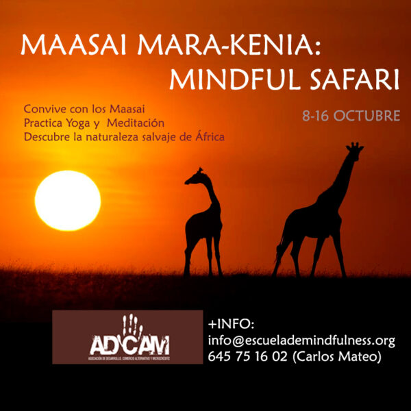 mindful-safari-kenia-2022