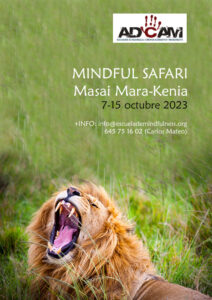 mindful-safari-2023