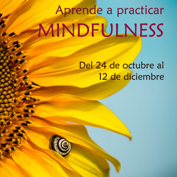 mindfulness-alicante-oct23
