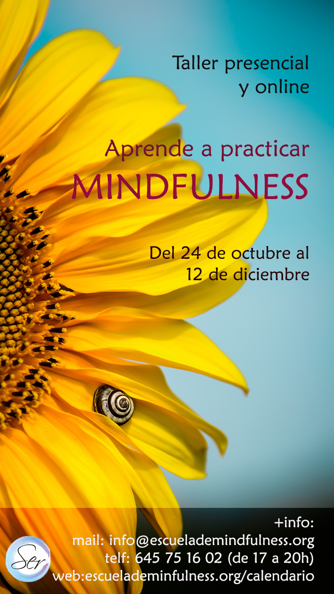 Taller presencial y online de Mindfulness, comienzo 24 de octubre 2023 – 32ª EDICIÓN