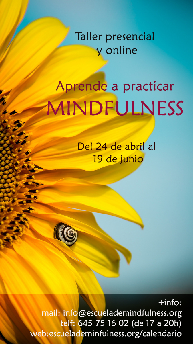 Taller presencial y online de Mindfulness, comienzo 24 de abril 2023 – 32ª EDICIÓN