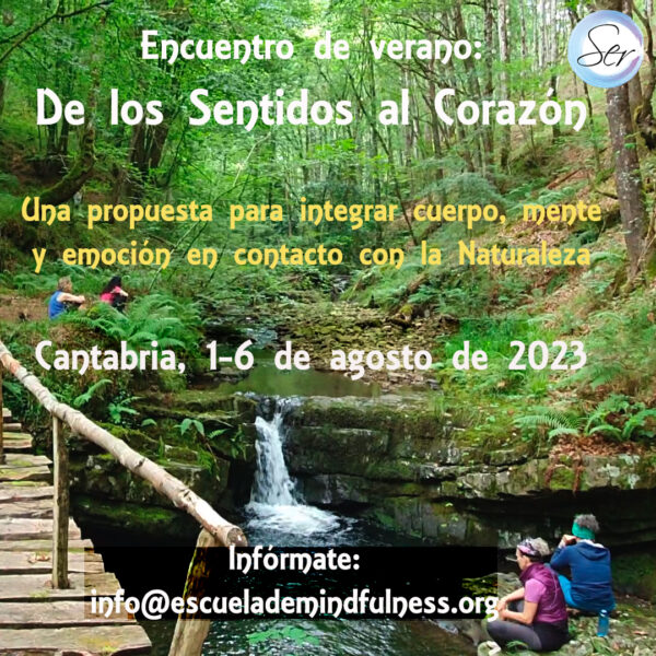 taller-cantabria-agosto-2023