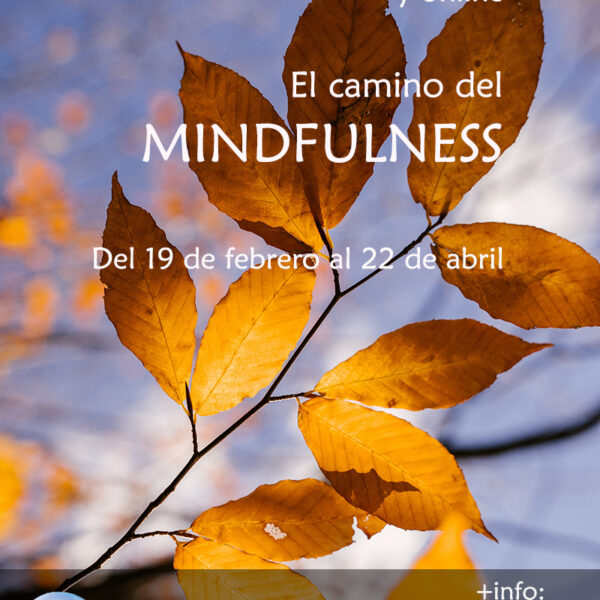 aprende-a-practicar-mindfulness
