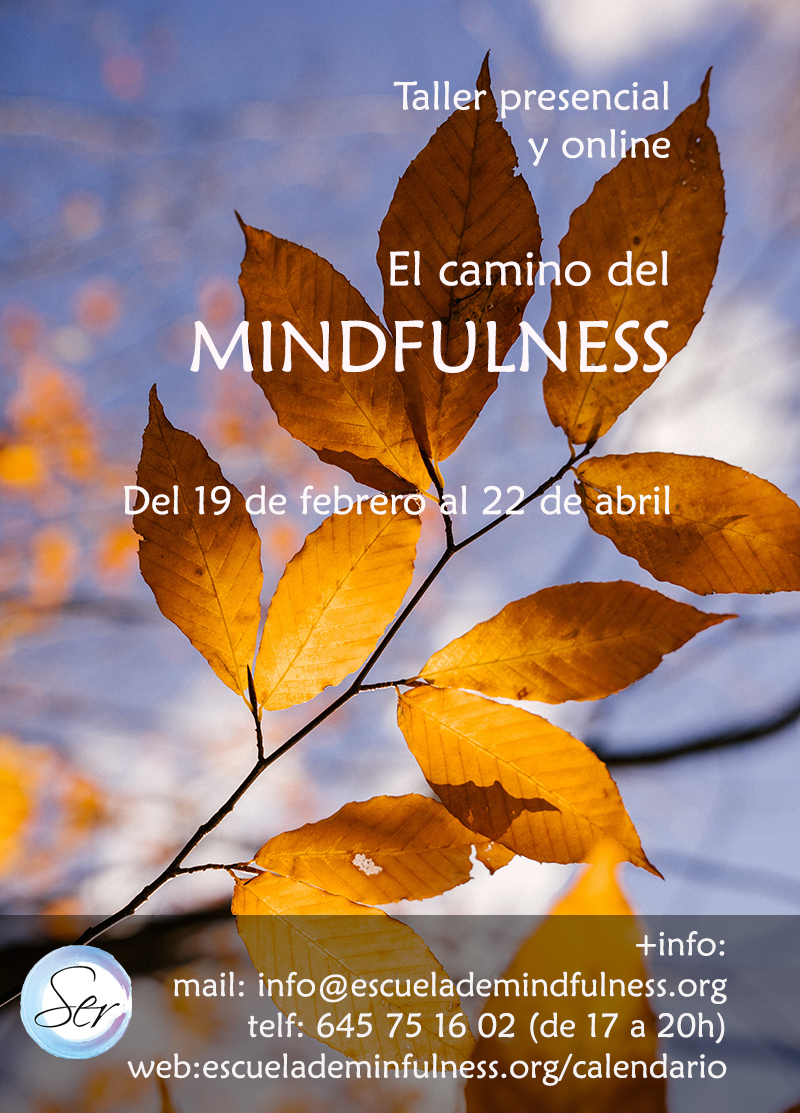 Taller presencial y online «El camino del Mindfulness», comienzo 19 de febrero 2024 – 33ª EDICIÓN