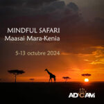 mindful-safari-kenia-2024
