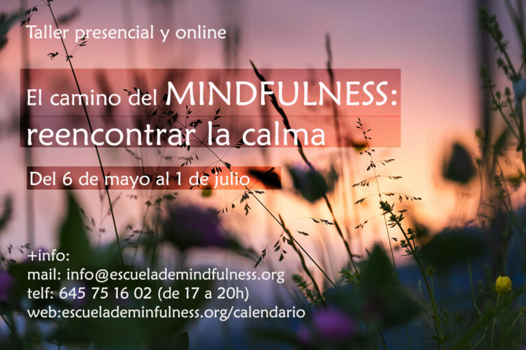 mindfulness_mayo_alicante