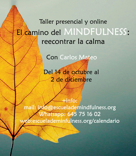mindfulness-octubre-2025