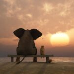 taller-mindfulness-octubre-2025