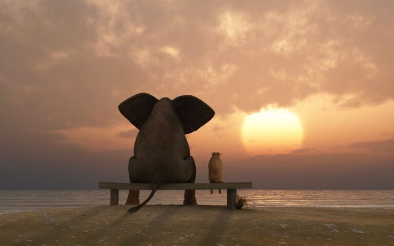 taller-mindfulness-octubre-2025